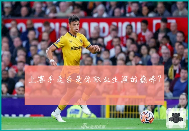 上赛季是否是你职业生涯的巅峰？