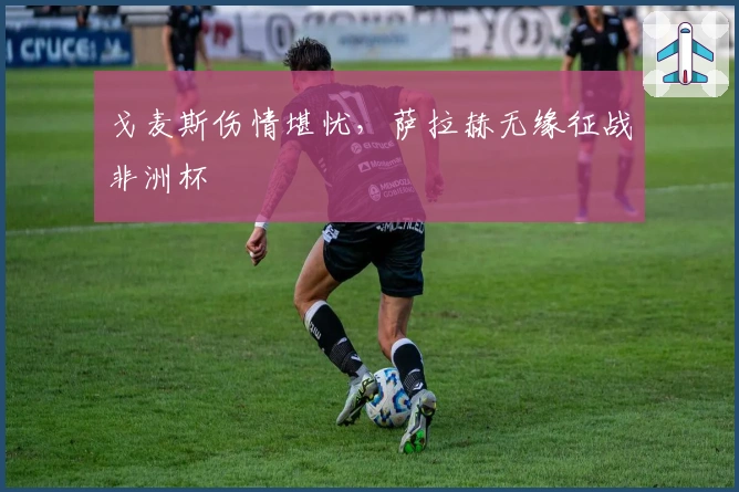 戈麦斯伤情堪忧，萨拉赫无缘征战非洲杯