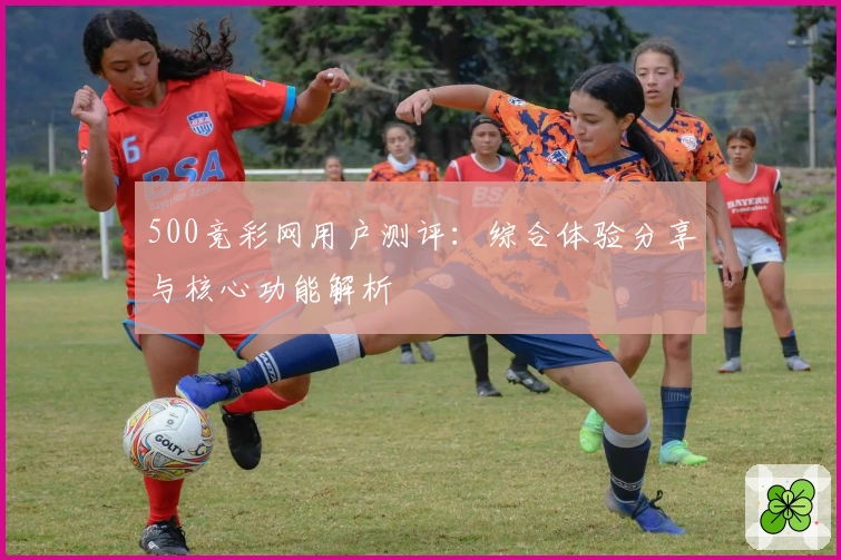 500竞彩网用户测评：综合体验分享与核心功能解析